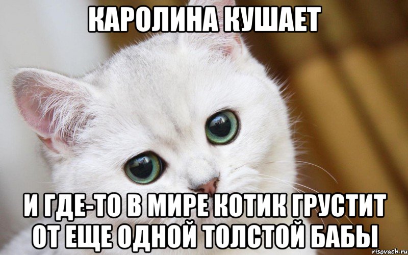 каролина кушает и где-то в мире котик грустит от еще одной толстой бабы, Мем  В мире грустит один котик