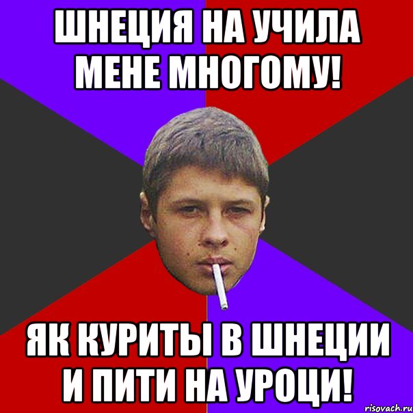 Шнеция на учила мене многому! як куриты в шнеции и пити на уроци!