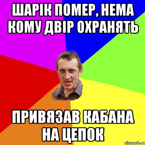 шарік помер, нема кому двір охранять привязав кабана на цепок, Мем Чоткий паца