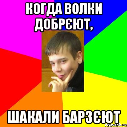 Когда волки добрєют, шакали барзєют