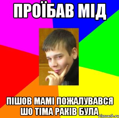 Проїбав мід пішов мамі пожалувався шо тіма раків була