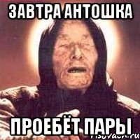 Завтра Антошка Проебёт пары, Мем Ванга (цвет)