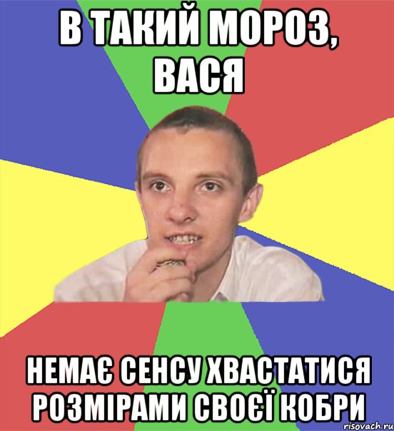 в такий мороз, вася немає сенсу хвастатися розмірами своєї кобри, Мем вася