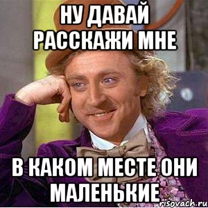 Ну давай расскажи мне В каком месте они маленькие, Мем Ну давай расскажи (Вилли Вонка)