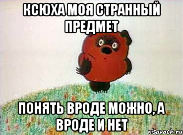 Ксюха моя странный предмет понять вроде можно, а вроде и нет, Мем вини