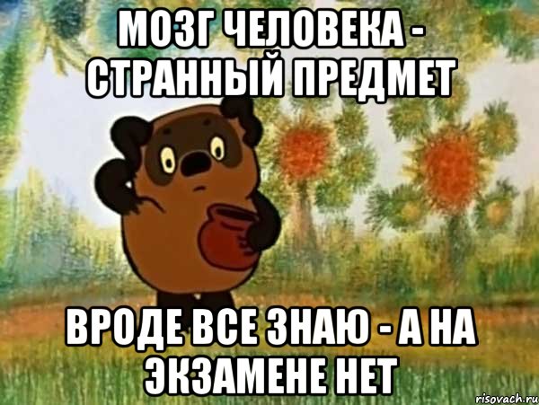 Мозг человека - странный предмет Вроде все знаю - а на экзамене нет, Мем Винни пух чешет затылок