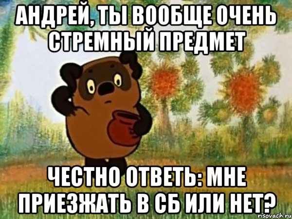 Андрей, ты вообще очень стремный предмет честно ответь: мне приезжать в сб или нет?, Мем Винни пух чешет затылок