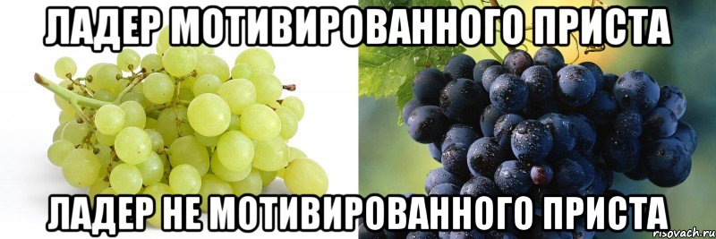 ладер мотивированного приста ладер не мотивированного приста, Мем виноград курильщика