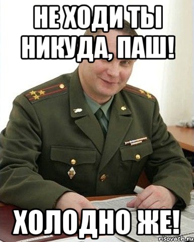 Не ходи ты никуда, Паш! Холодно же!, Мем Военком (полковник)