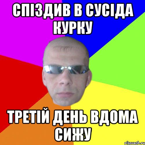 спіздив в сусіда курку третій день вдома сижу