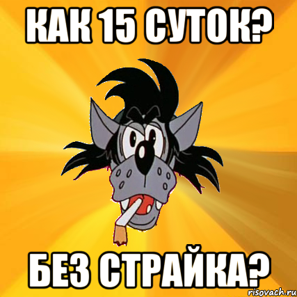 как 15 суток? без страйка?, Мем Волк