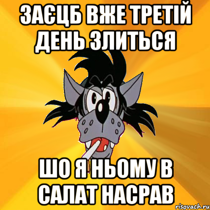 заєцб вже третій день злиться шо я ньому в салат насрав, Мем Волк