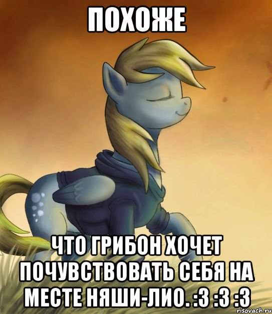 Похоже Что Грибон хочет почувствовать себя на месте няши-Лио. :3 :3 :3, Мем Воот