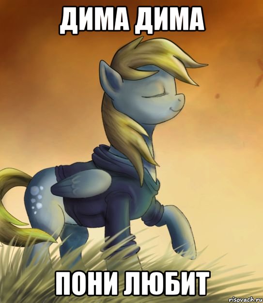 Дима Дима пони любит, Мем Воот
