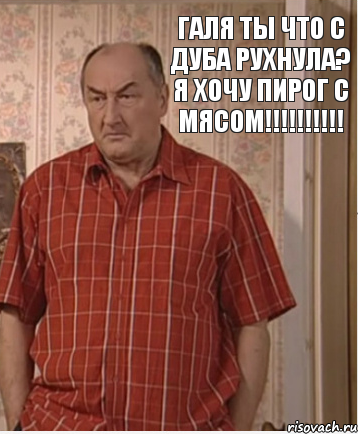 Галя ты что с дуба рухнула? Я хочу пирог с мясом!!!!!!!!!!