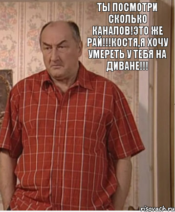 Ты посмотри сколько каналов!Это же РАЙ!!!Костя,я хочу умереть у тебя на диване!!!, Комикс Николай Петрович Воронин