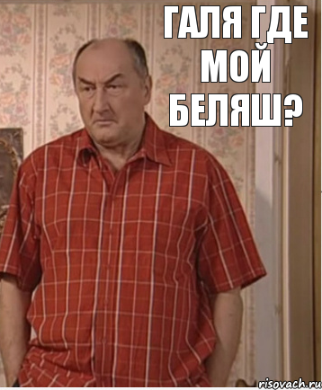 Галя где мой беляш?, Комикс Николай Петрович Воронин