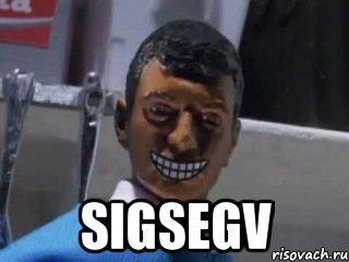  SIGSEGV