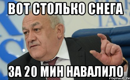Вот столько снега за 20 мин навалило