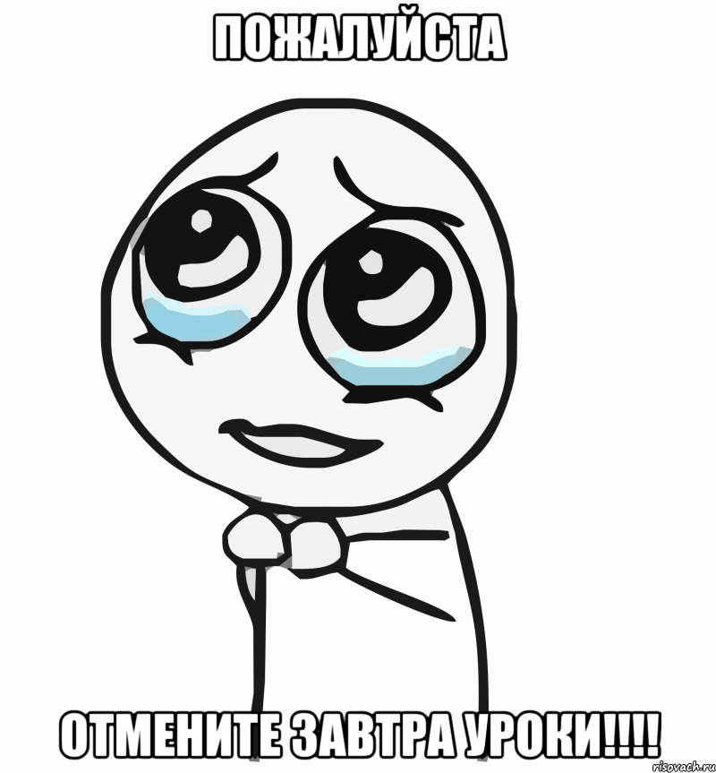 пожалуйста отмените завтра уроки!!!!, Мем  ну пожалуйста (please)