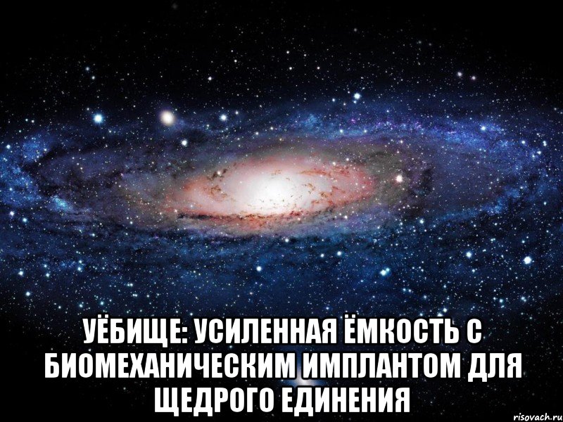  УЁБИЩЕ: Усиленная Ёмкость с Биомеханическим Имплантом для Щедрого Единения, Мем Вселенная