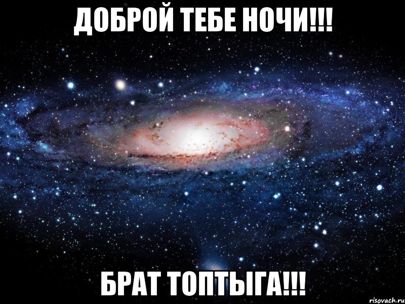 Доброй тебе ночи!!! Брат Топтыга!!!, Мем Вселенная