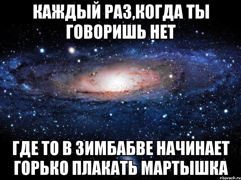 Каждый раз,когда ты говоришь НЕТ Где то в Зимбабве начинает горько плакать мартышка, Мем Вселенная