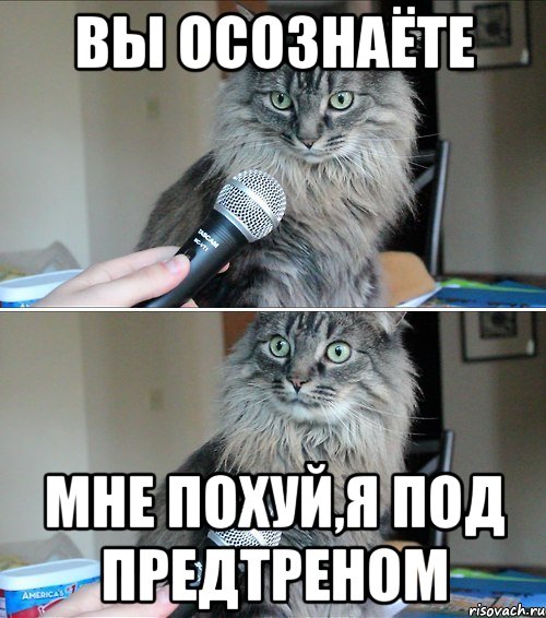вы осознаёте мне похуй,я под предтреном