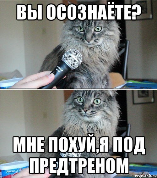 вы осознаёте? мне похуй,я под предтреном