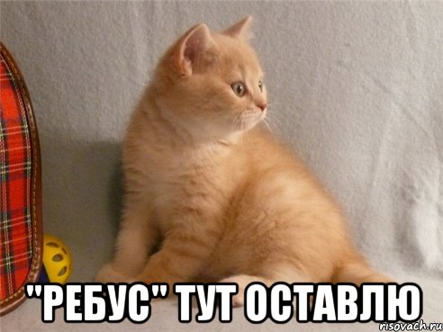  "ребус" тут оставлю