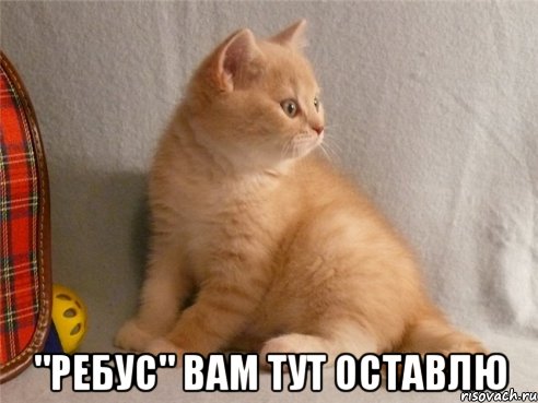  "ребус" вам тут оставлю