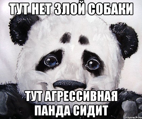 Тут нет злой собаки Тут агрессивная панда сидит