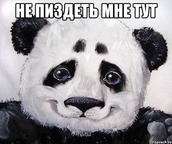 Не пиздеть мне тут 