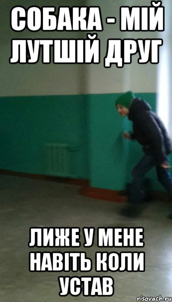 Собака - мій лутшій друг Лиже у мене навіть коли устав