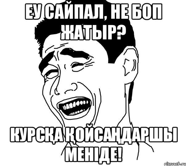 Еу сайпал, не боп жатыр? курсқа қойсаңдаршы меніде!, Мем Яо минг