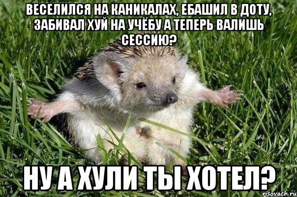 веселился на каникалах, ебашил в доту, забивал хуй на учёбу а теперь валишь сессию? ну а хули ты хотел?