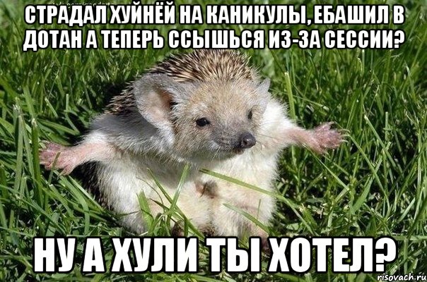 страдал хуйнёй на каникулы, ебашил в дотан а теперь ссышься из-за сессии? ну а хули ты хотел?