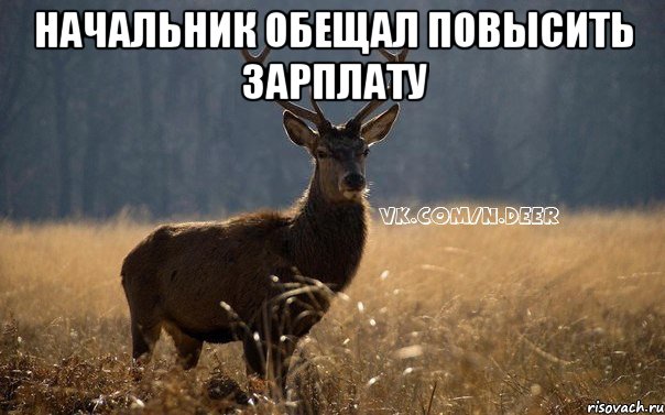 Начальник обещал повысить зарплату 