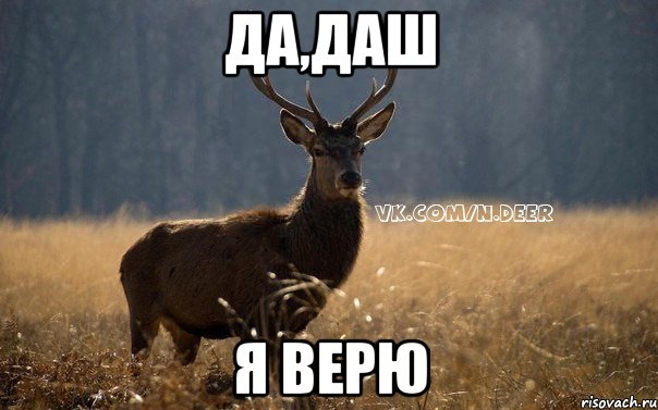 Да,Даш Я верю