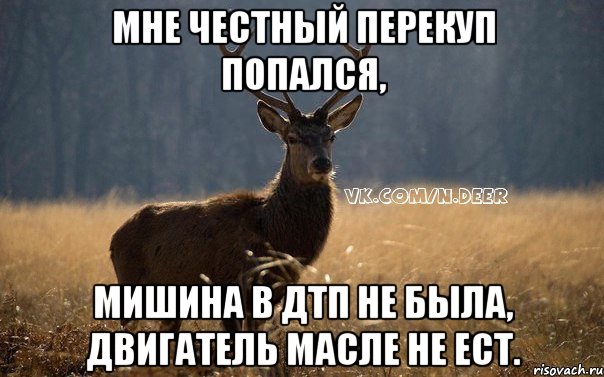 мне честный перекуп попался, мишина в ДТП не была, двигатель масле не ест.