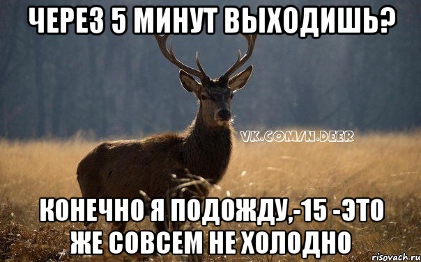 через 5 минут выходишь? конечно я подожду,-15 -это же совсем не холодно