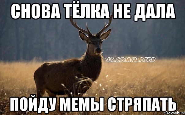 Снова Тёлка не дала пойду мемы стряпать