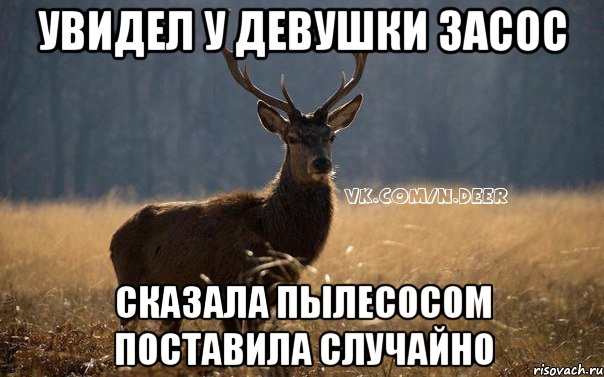 Увидел у девушки засос Сказала пылесосом поставила случайно