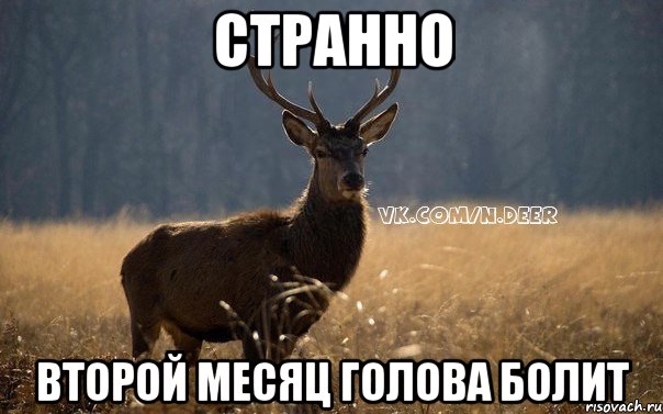 странно второй месяц голова болит