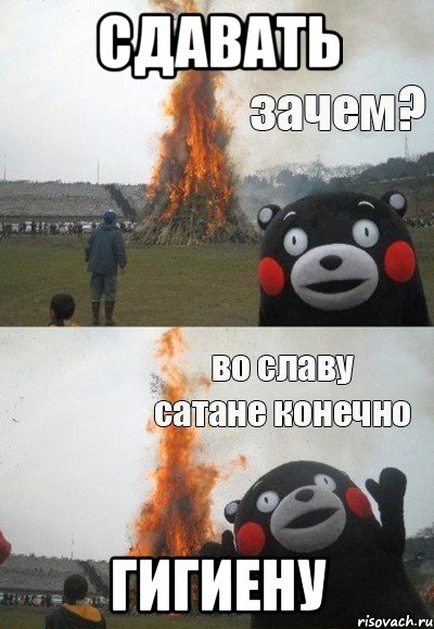 сдавать гигиену