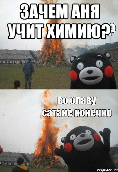 зачем Аня учит химию? 
