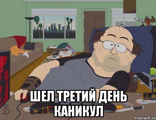  шел третий день каникул, Мем   Задрот south park