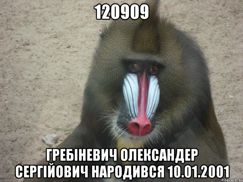 120909 Гребіневич Олександер Сергійович народився 10.01.2001