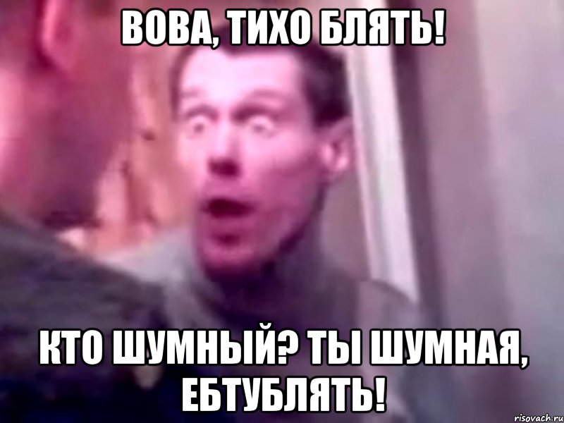 Вова, тихо блять! Кто шумный? ты шумная, ебтублять!, Мем Запили