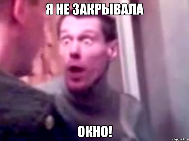 Я не закрывала окно!